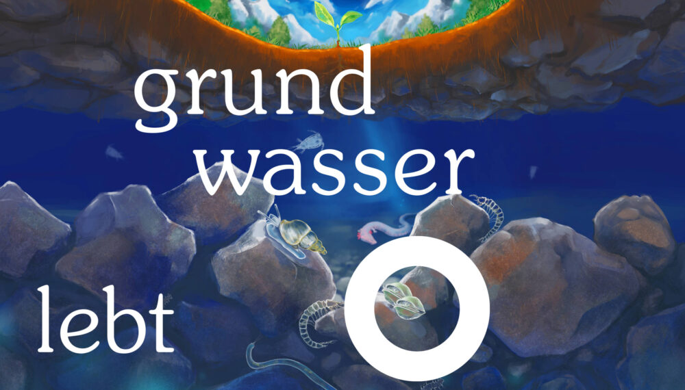 Grundwasser lebt
