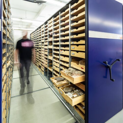 Hier geht es zur naturkundlichen Sammlung.
