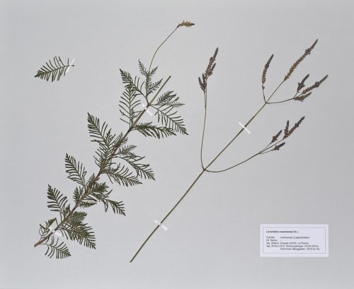 best of landesmuseum hanovre