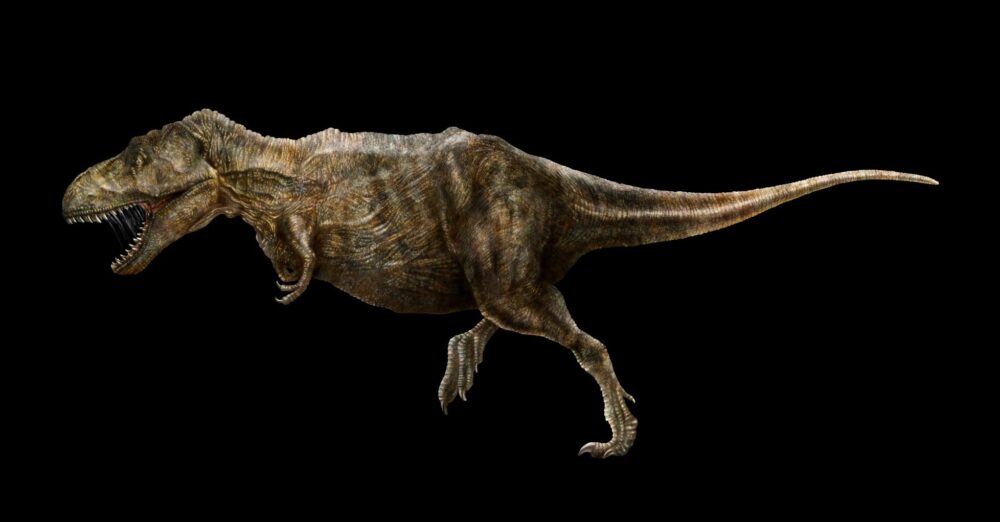 Philine Delekta Tyrannosaurus rex der -er , çizim © Landesmuseum Hannover